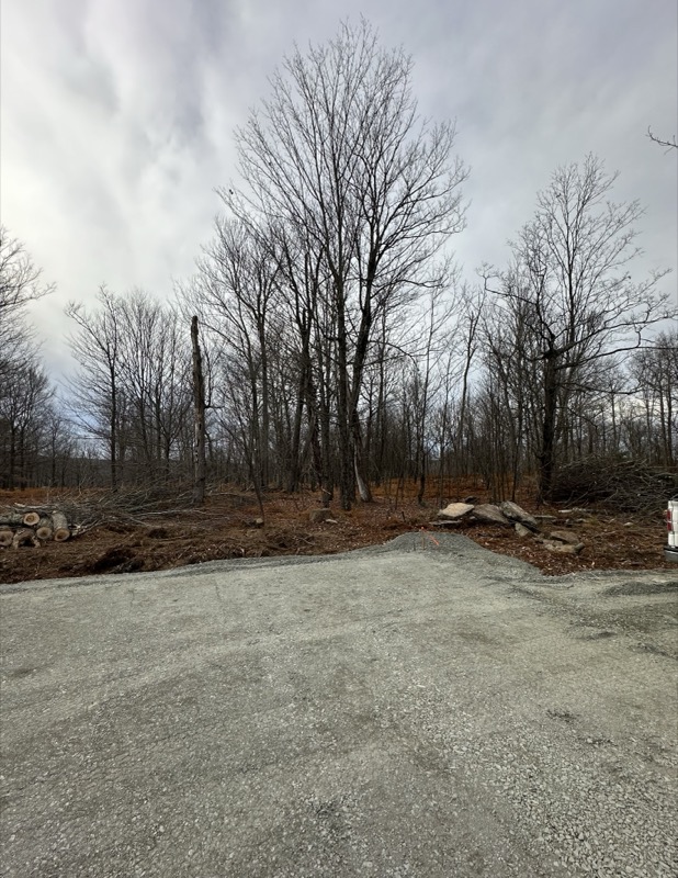 November 2024 - Site preparation begins
